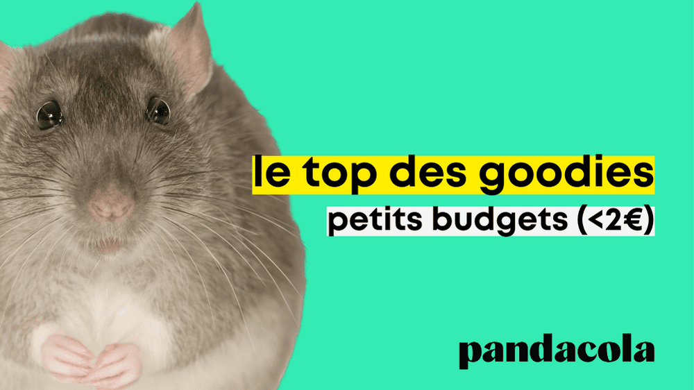 top-goodies-petits-budgets