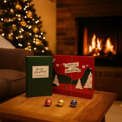 Calendrier Lindt Appy Book